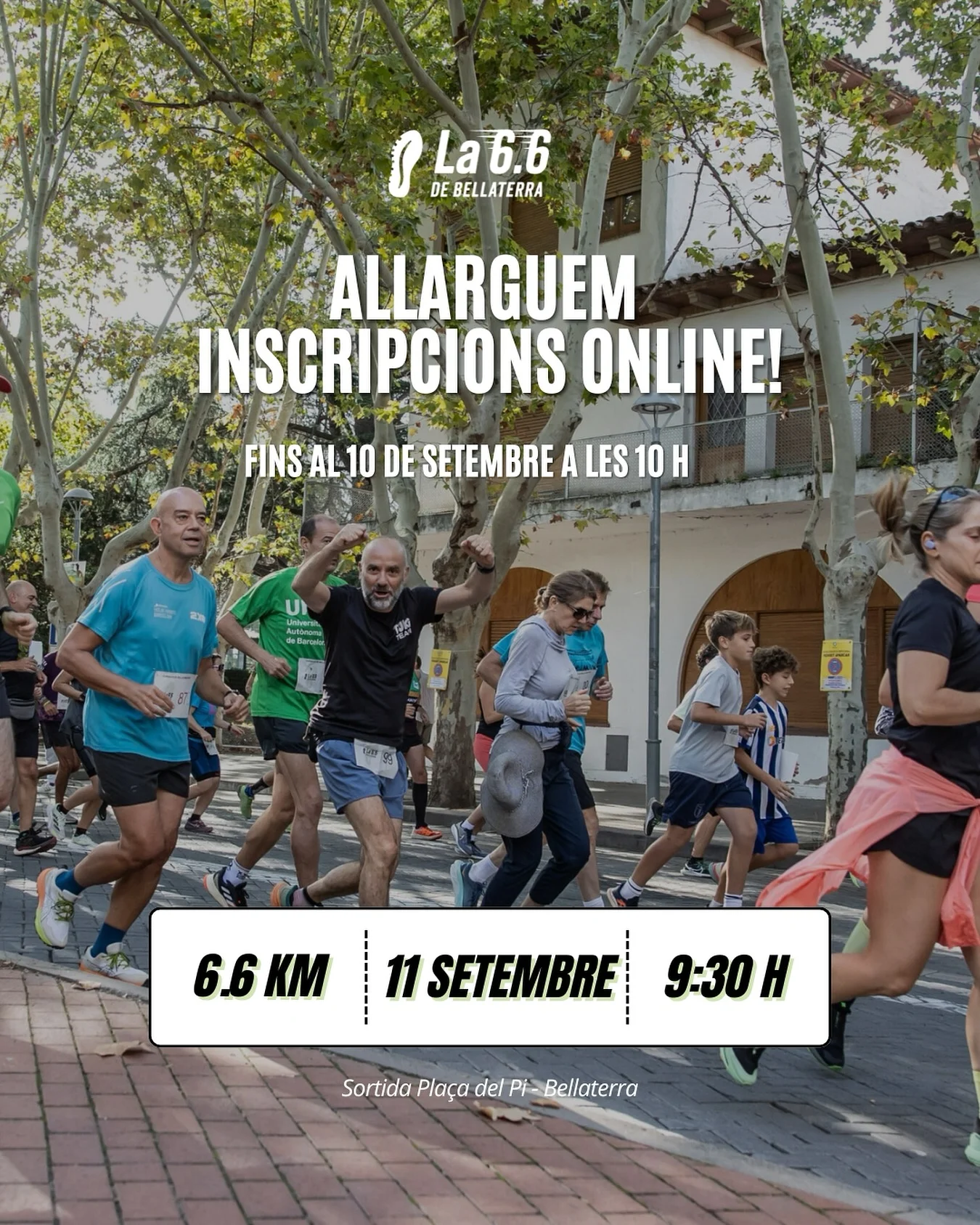 redes-social-web-marketing-grafico-lasttiming